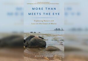 Writer examines loss, renewal in book of essays set on Maine coast