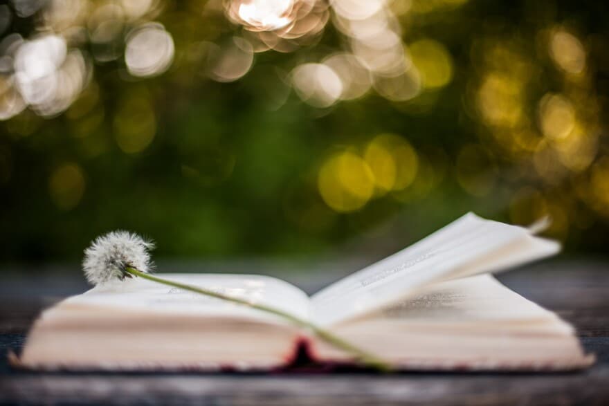 Meet the Burlingtonians aged 10 and up writing poems about 'poison rain' and 'animal footprints'